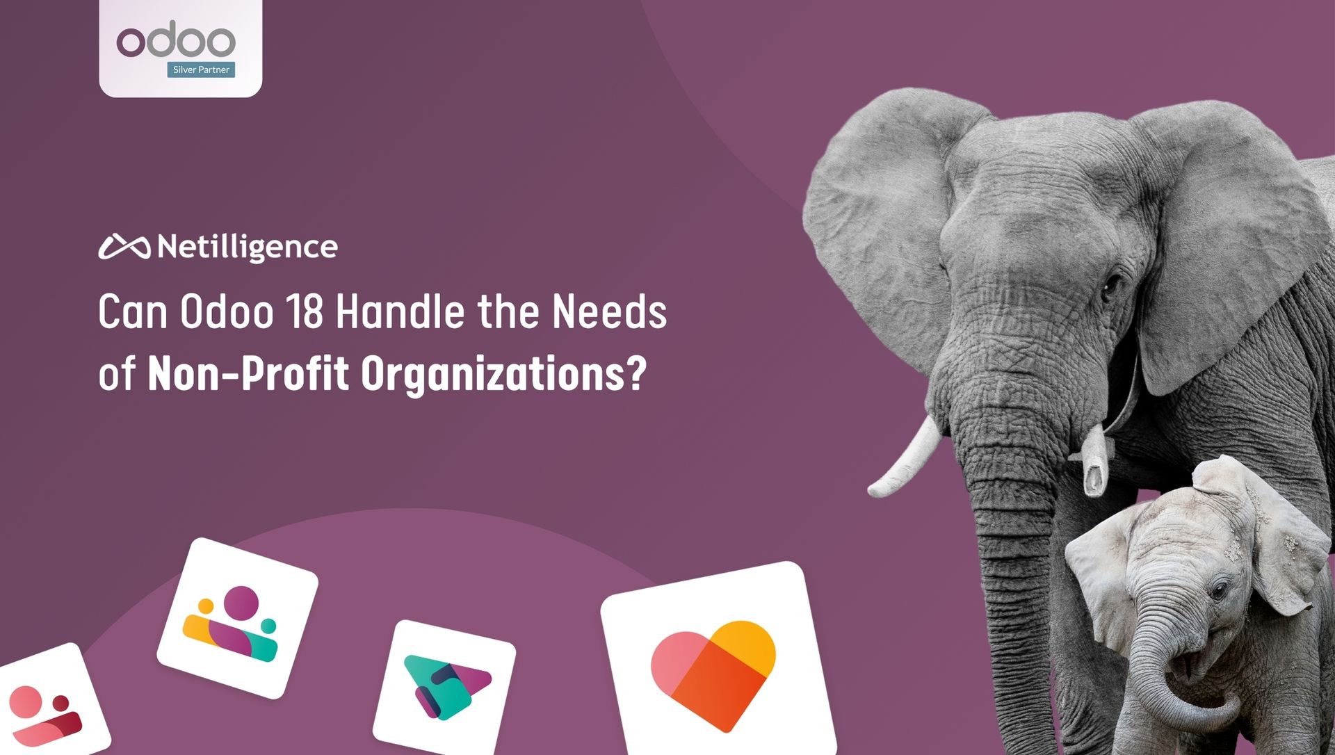 Can Odoo 18 Handle the Needs of Non-Profit Organizations?